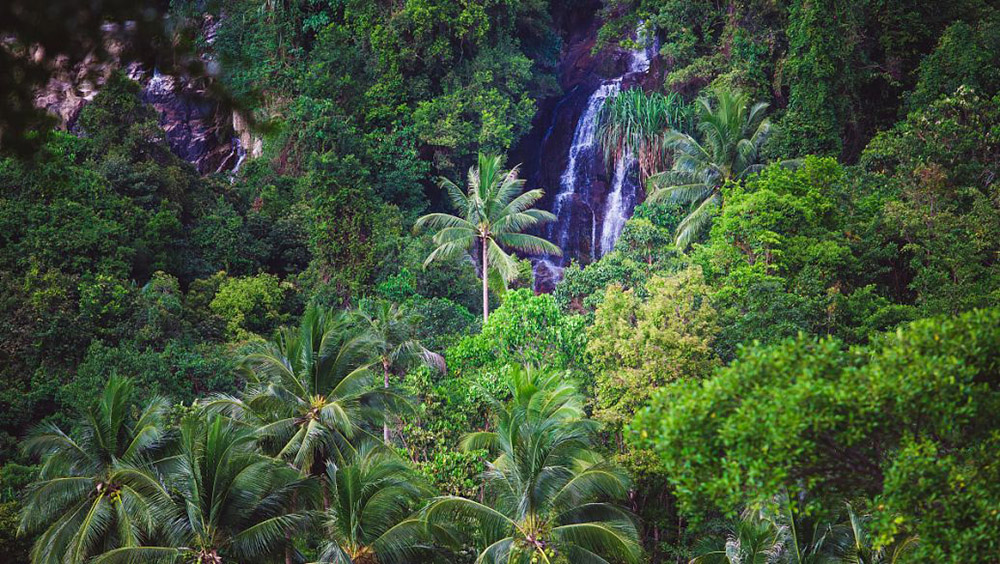 海南热带雨林国家公园.jpg